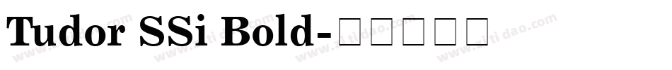 Tudor SSi Bold字体转换